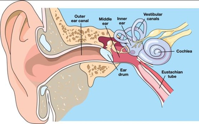 How to Pop Ears?