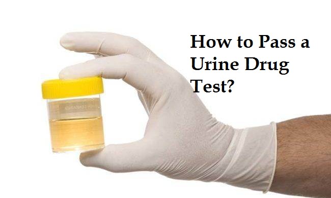 How To Pass A Urine Drug Test Home Remedies 7940