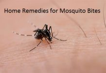 home remedies for mosquito bites