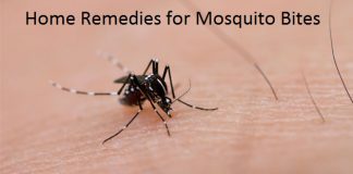 home remedies for mosquito bites