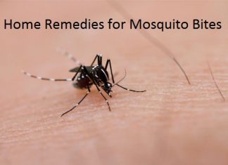 home remedies for mosquito bites