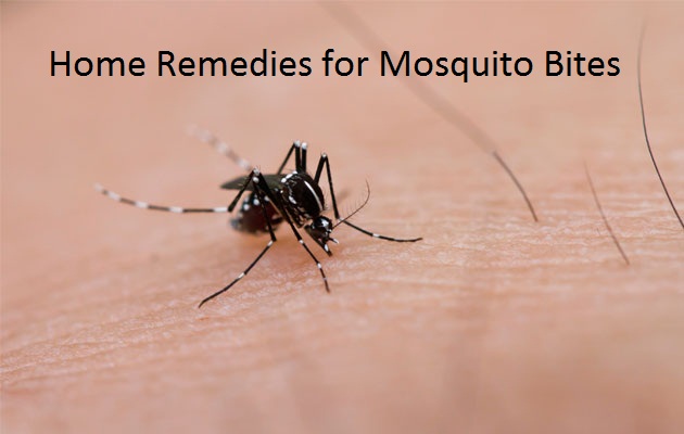 home remedies for mosquito bites