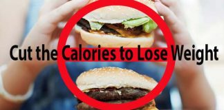 how many calories to lose weight