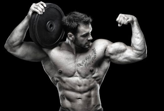 how to build muscles