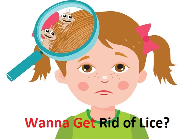 how to get rid of lice