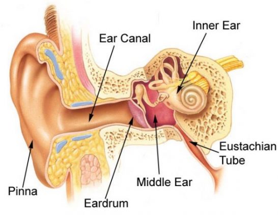 how to pop your ears