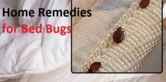 home remedies for bed bugs