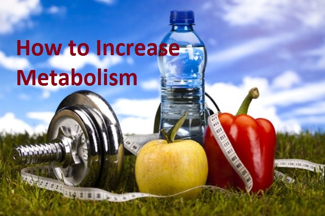 how to increase metabolism