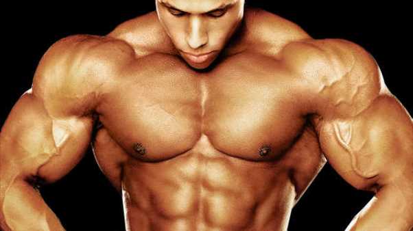 how to gain muscle mass