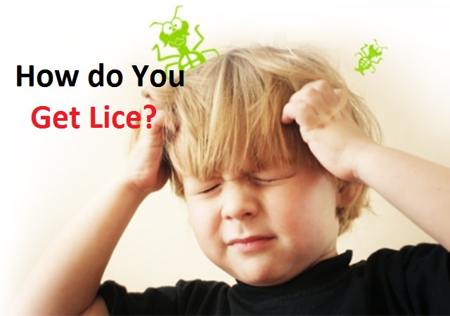 how do you get lice