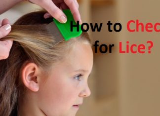 how to check for lice