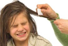 how to get rid of head lice