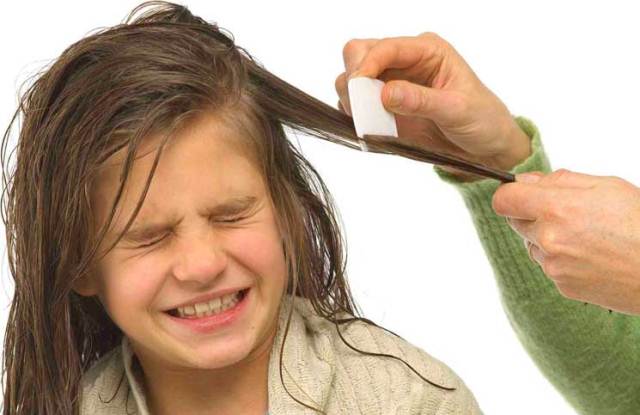 how to get rid of head lice