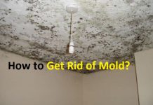 how to get rid of mold