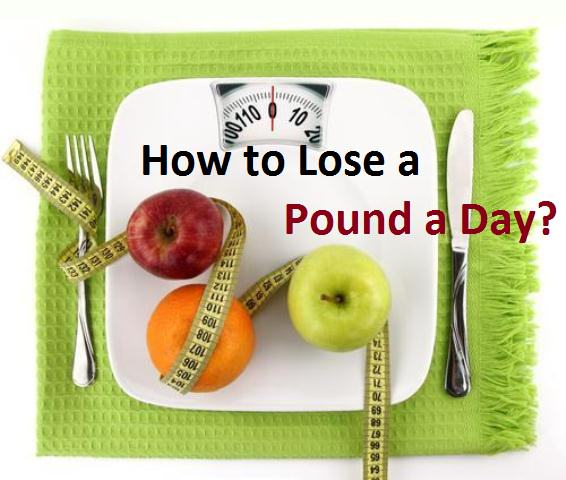 how to lose a pound a day