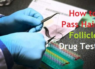 how to pass a hair follicle drug test