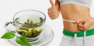 green tea for weight loss