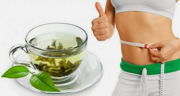 green tea for weight loss