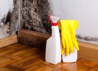 How to Kill Mold