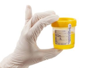 how pass a urine drug test