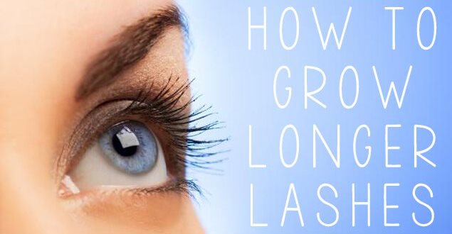 how to grow eyelashes